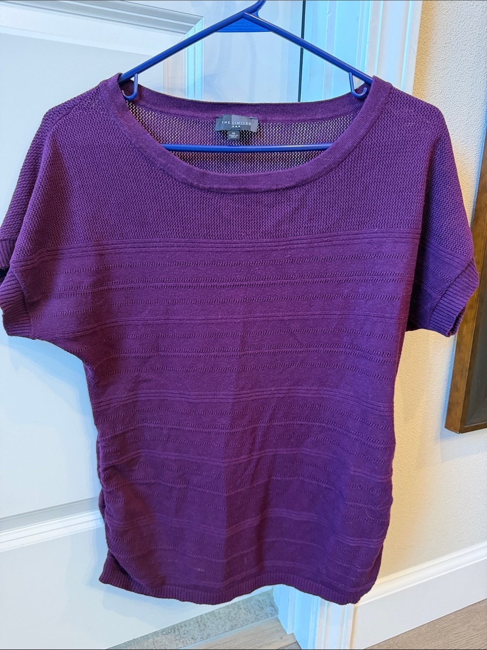 The Limited Plum Short-Sleeve Knit Top